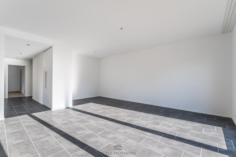 Magnifique 3.5 pièces avec terrasse de 15.8 m2 et jardin privatif (3)