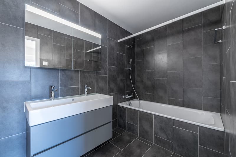 Spacieux 3.5 pièces avec loggia (6)