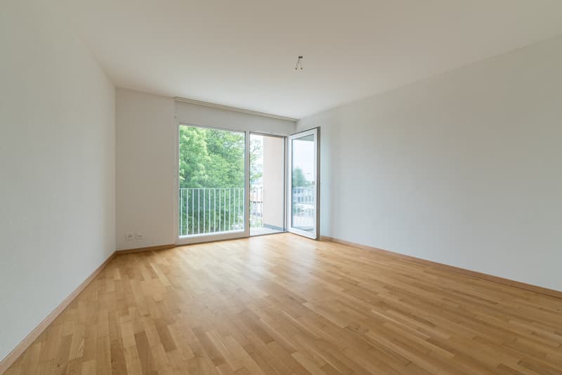 Lumineux 2.5 pièce de 56 m2 (3)