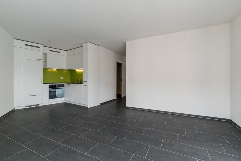 Lumineux 2.5 pièce de 56 m2 (2)