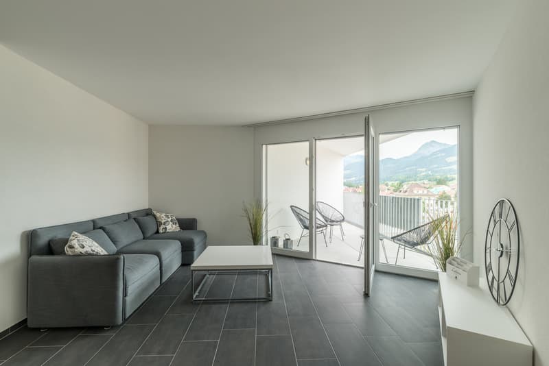 Lumineux 2.5 pièce de 56 m2 (1)