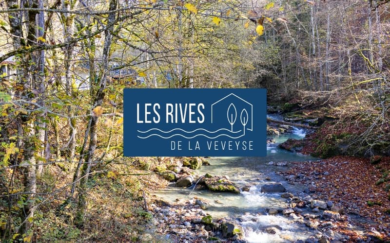 3.5 pièces traversant de 90 m² avec balcon - Châtel-Saint-Denis (7)