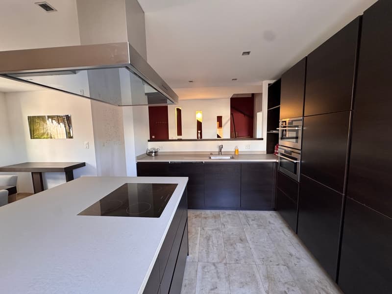 Magnifica casa di 5.5 locali nel centro di Blonay, arredata o non arredata (3)