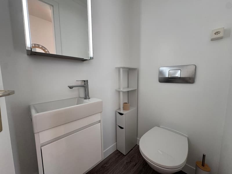 Bello appartamento arredato di 2,5 locali con balcone a Brent (12)