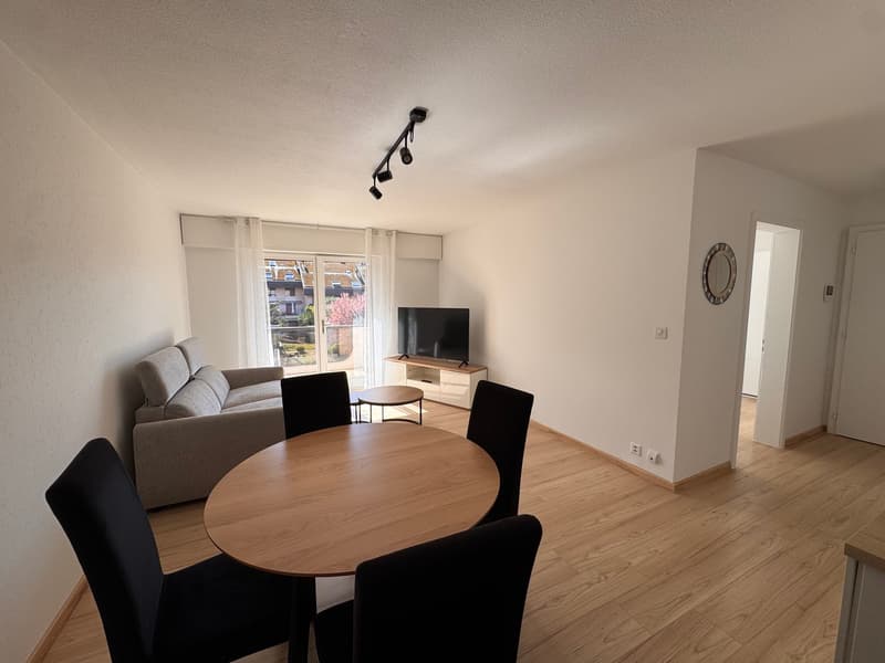 Bello appartamento arredato di 2,5 locali con balcone a Brent (4)