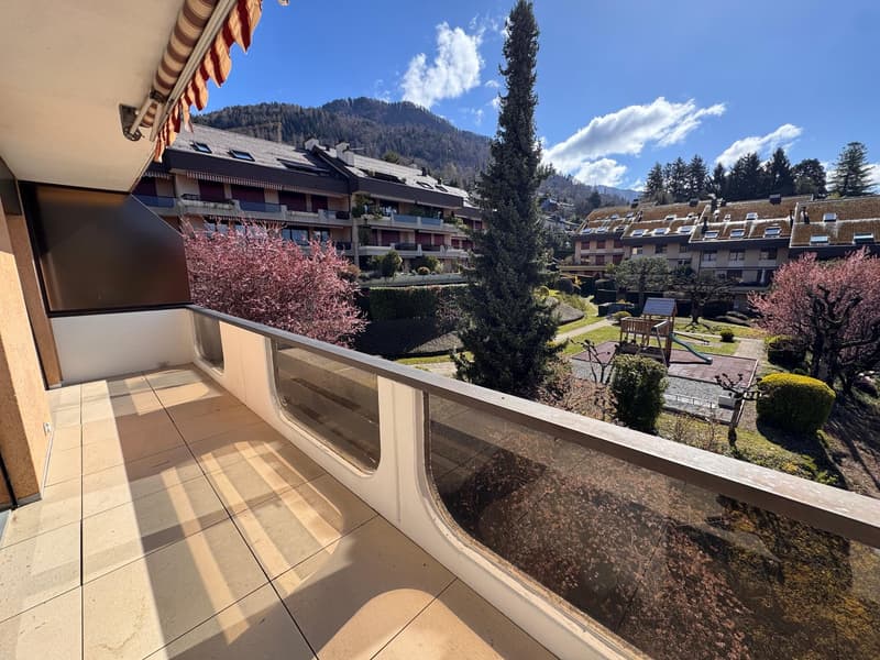 Bello appartamento arredato di 2,5 locali con balcone a Brent (11)