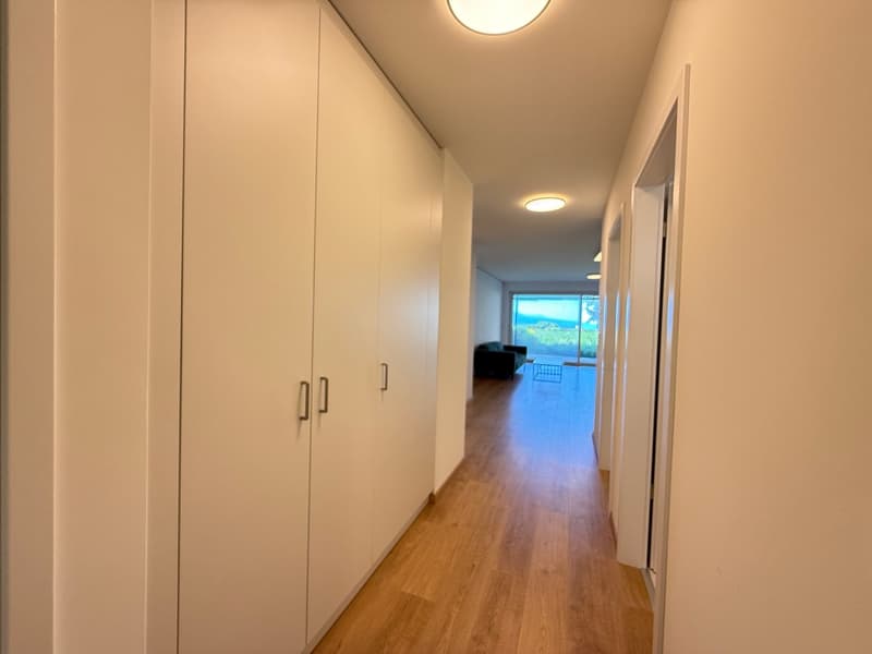 Bello 3.5 locali nuovo con terrazza & giardino in residenza con piscina (13)
