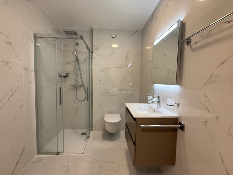 Bello 3.5 locali nuovo con terrazza & giardino in residenza con piscina (6)