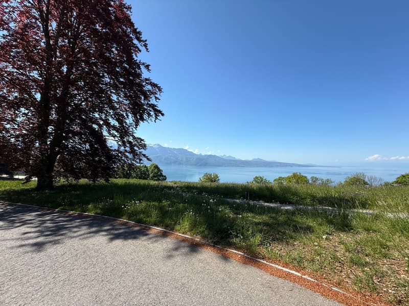 Bello 3.5 locali nuovo con terrazza & giardino in residenza con piscina (10)