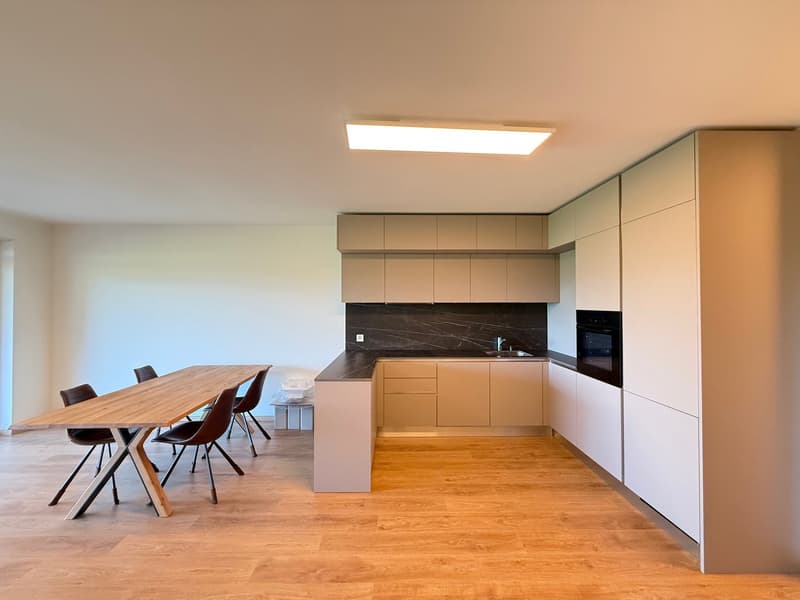 Bello 3.5 locali nuovo con terrazza & giardino in residenza con piscina (3)