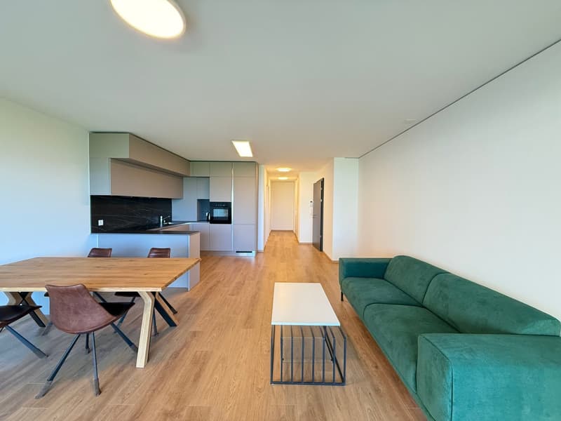 Bello 3.5 locali nuovo con terrazza & giardino in residenza con piscina (2)