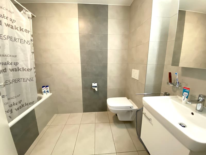 Ampio appartamento duplex di 5.5 locali a Noville (9)