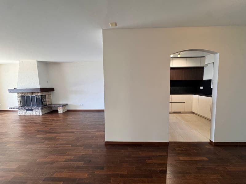 Prachtvolle 4,5-Zimmer-Wohnung mit dominierendem Blick auf den See (17)