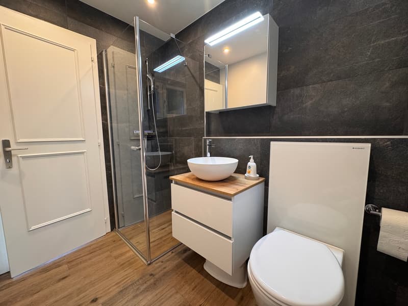 Prachtvolle 4,5-Zimmer-Wohnung mit dominierendem Blick auf den See (7)