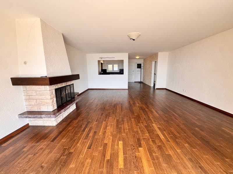 Prachtvolle 4,5-Zimmer-Wohnung mit dominierendem Blick auf den See (4)