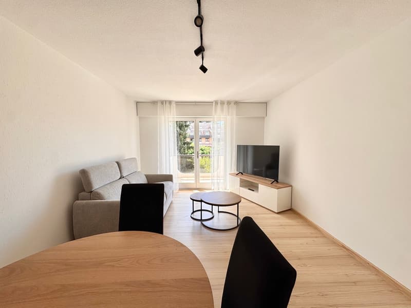 Bello appartamento arredato di 2,5 locali con balcone a Brent (3)