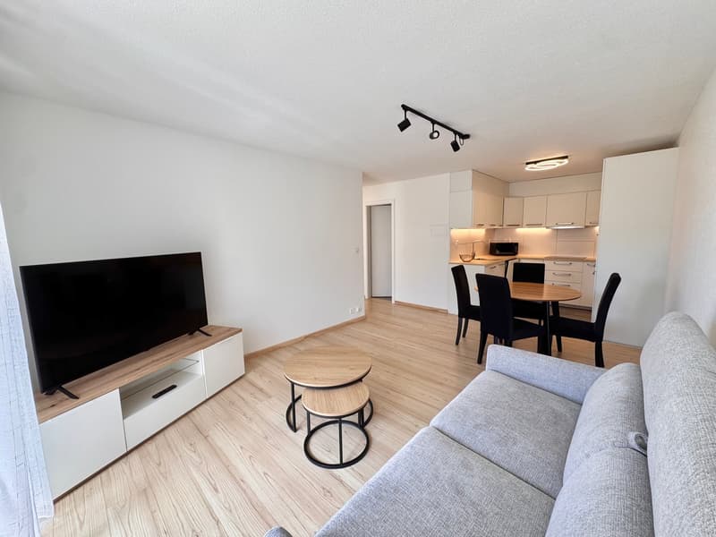 Bello appartamento arredato di 2,5 locali con balcone a Brent (7)