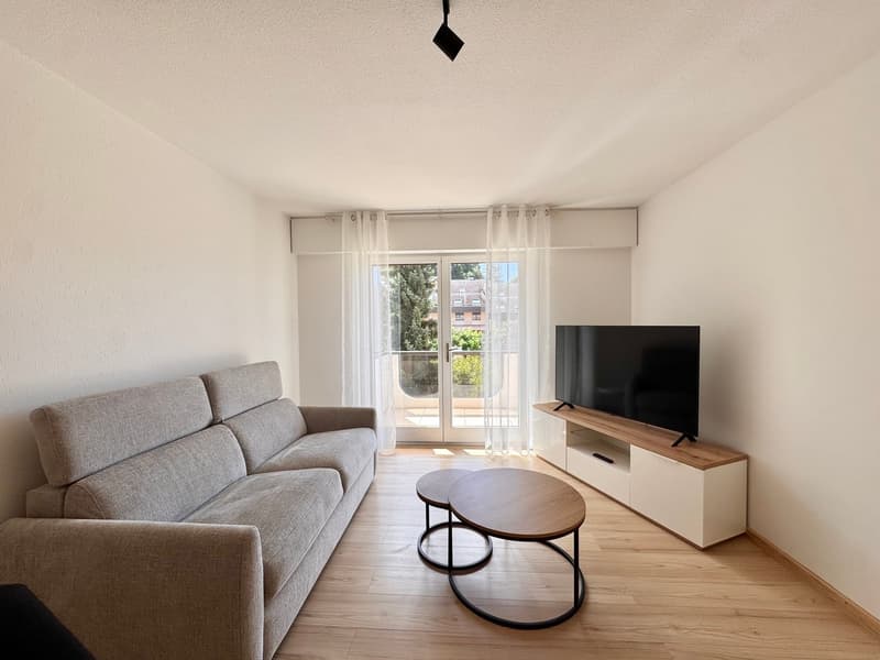 Bello appartamento arredato di 2,5 locali con balcone a Brent (5)