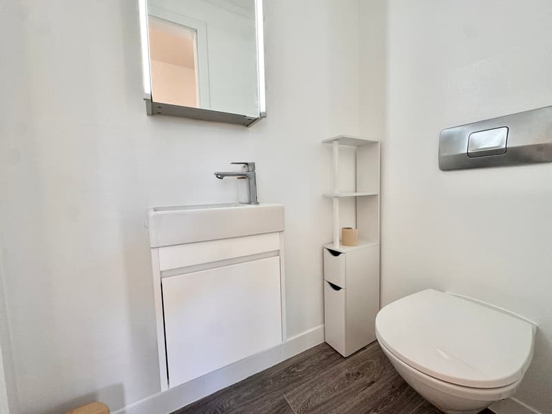 Bello appartamento arredato di 2,5 locali con balcone a Brent (15)