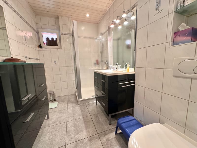 Spacious 2.5-room furnished apartment in villa with terrace and garden (7)