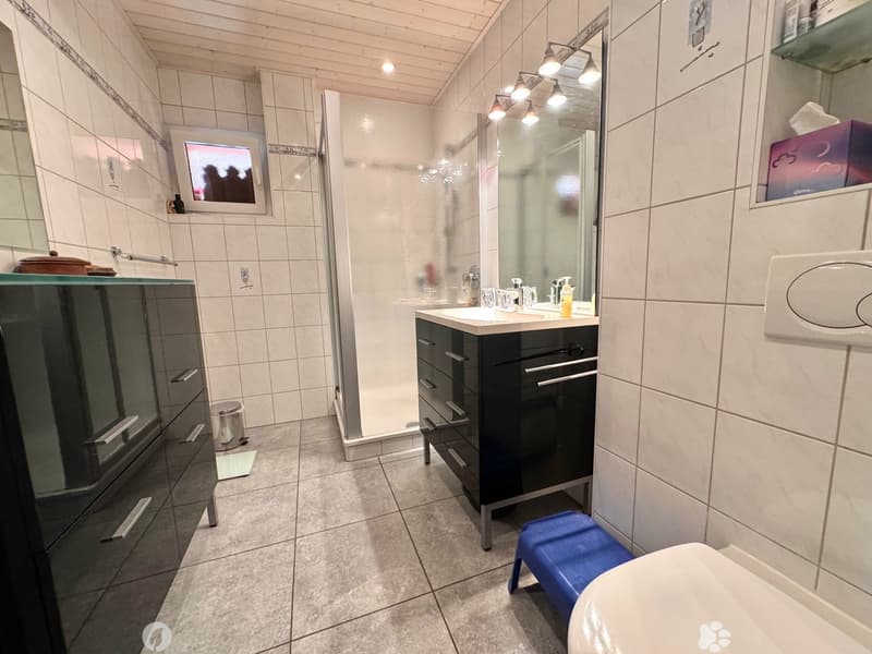 Geräumige 2.5 Zimmer möbliert in Villa mit Terrasse und Garten (7)