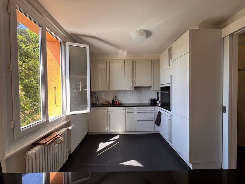 Charmantes 4-Zimmer-Wohnung mit schöner Aussicht auf den See (5)