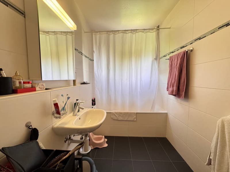 Charmantes 4-Zimmer-Wohnung mit schöner Aussicht auf den See (13)