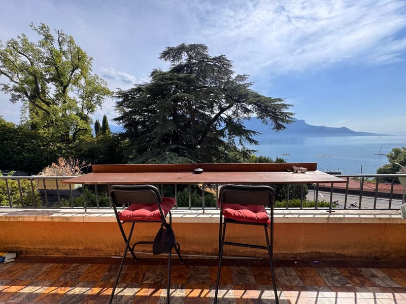 Charmantes 4-Zimmer-Wohnung mit schöner Aussicht auf den See (4)