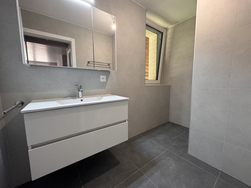 Appartement de 3,5 pièces neuf dans une bâtisse de caractère – Brent (Montreux) (6)