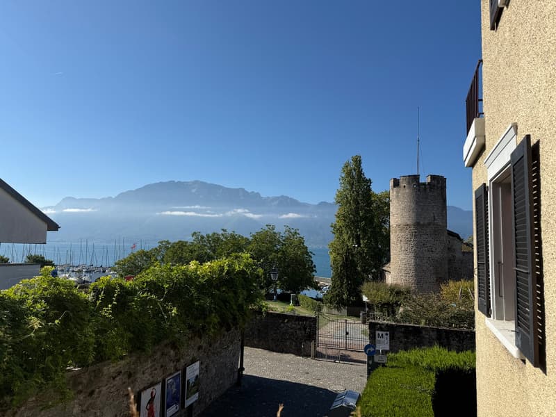 Charmant appartement de 3,5 pièces à deux pas du lac et du centre-ville (10)