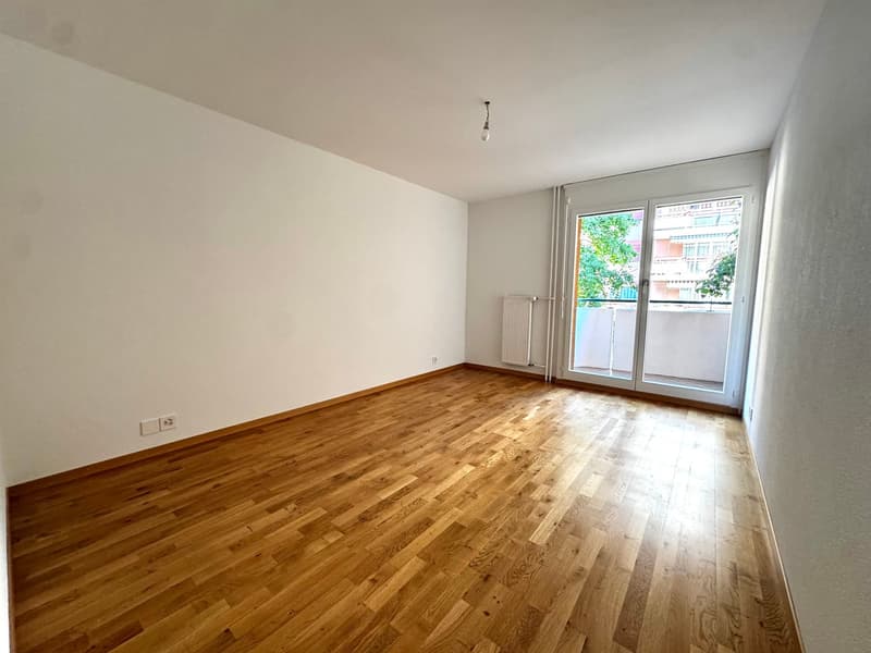 Charmant appartement de 4.5 pièces remis à neuf (10)