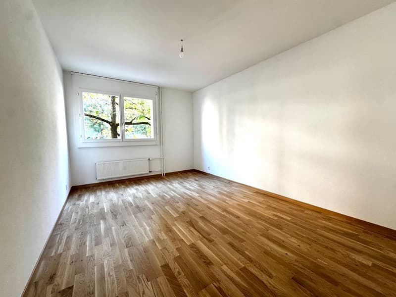 Charmant appartement de 4.5 pièces remis à neuf (14)