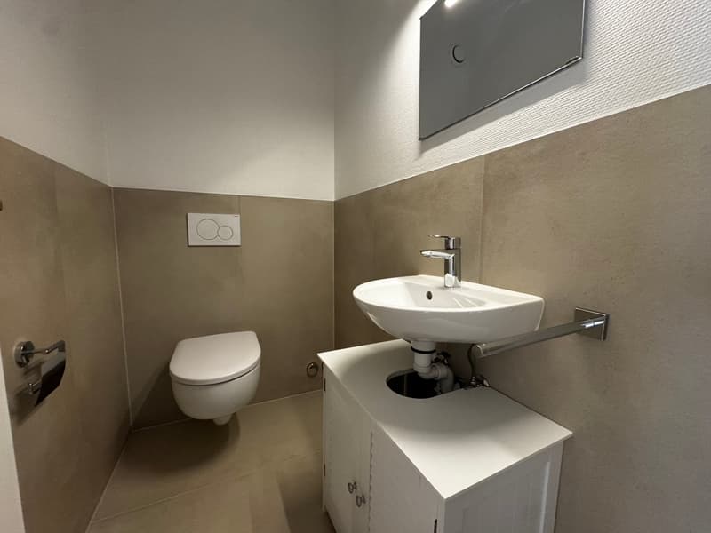 Charmant appartement de 4.5 pièces remis à neuf (7)