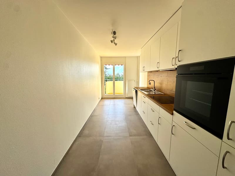 Charmant appartement de 4.5 pièces remis à neuf (4)