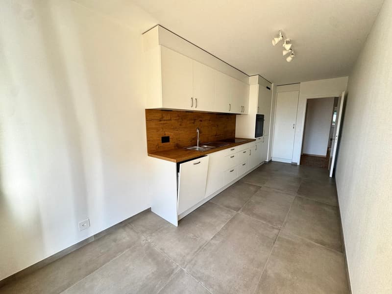 Charmant appartement de 4.5 pièces remis à neuf (3)