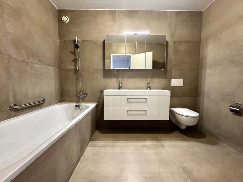 Charmant appartement de 4.5 pièces remis à neuf (5)