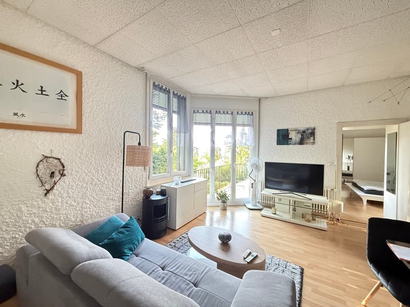 Charmant appartement de 2 pièces avec balcon à La Tour-de-Peilz (1)