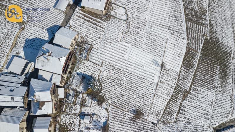 DJI_0175