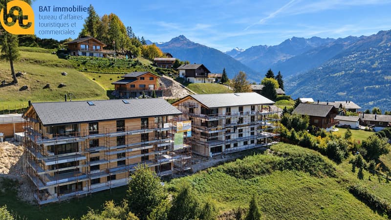 Chalets alpins en construction panoramique-1