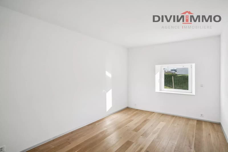 Appartement de 4.5 pièces typique en rez-de-jardin (6)