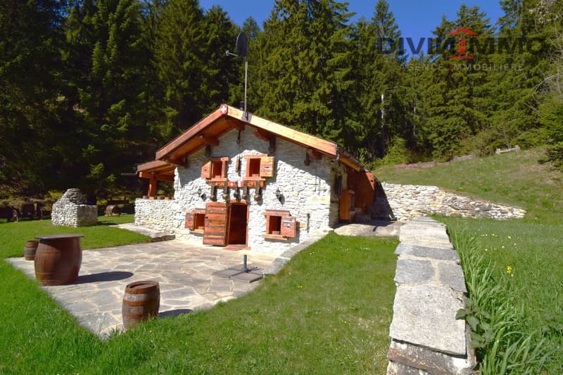 Atypical chalet in the Mayens-de-My of Conthey (1)