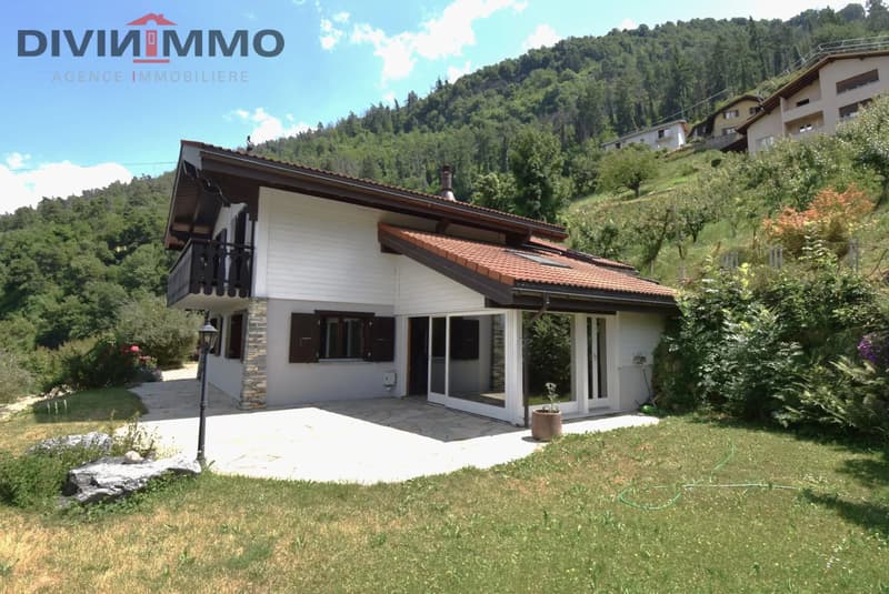 Belle maison avec spa, garage et couvert (1)