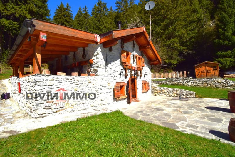 Chalet atypique aux Mayens-de-My de Conthey (13)