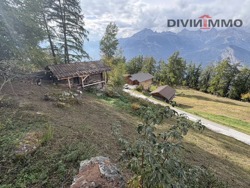 Magnifique parcelle aux portes de Haute-Nendaz (4)