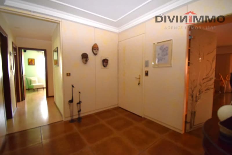 Bel appartement de standing (10)