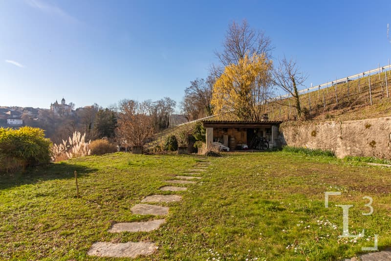 Jardin  / Garden
