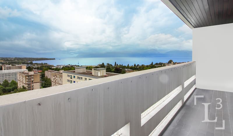 Vue panoramique balcon Est / Panoramic view east balcony