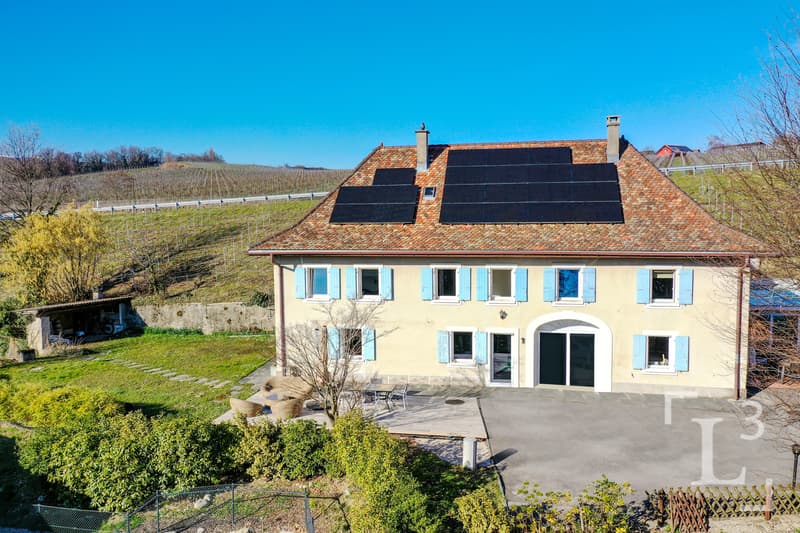 Vue d'ensemble / Overview
