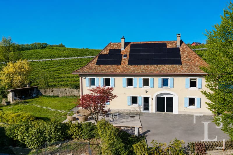 Vue d'ensemble