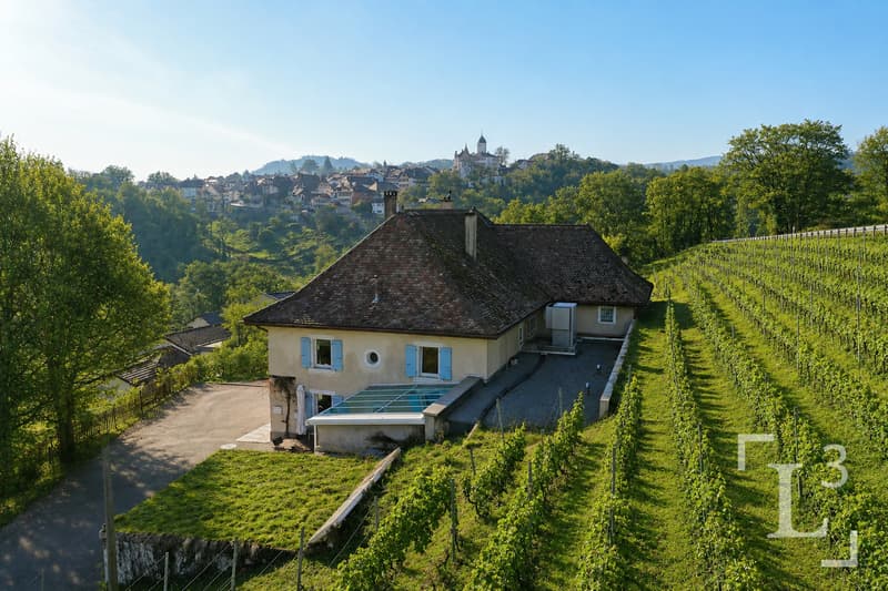 Vue d'ensemble